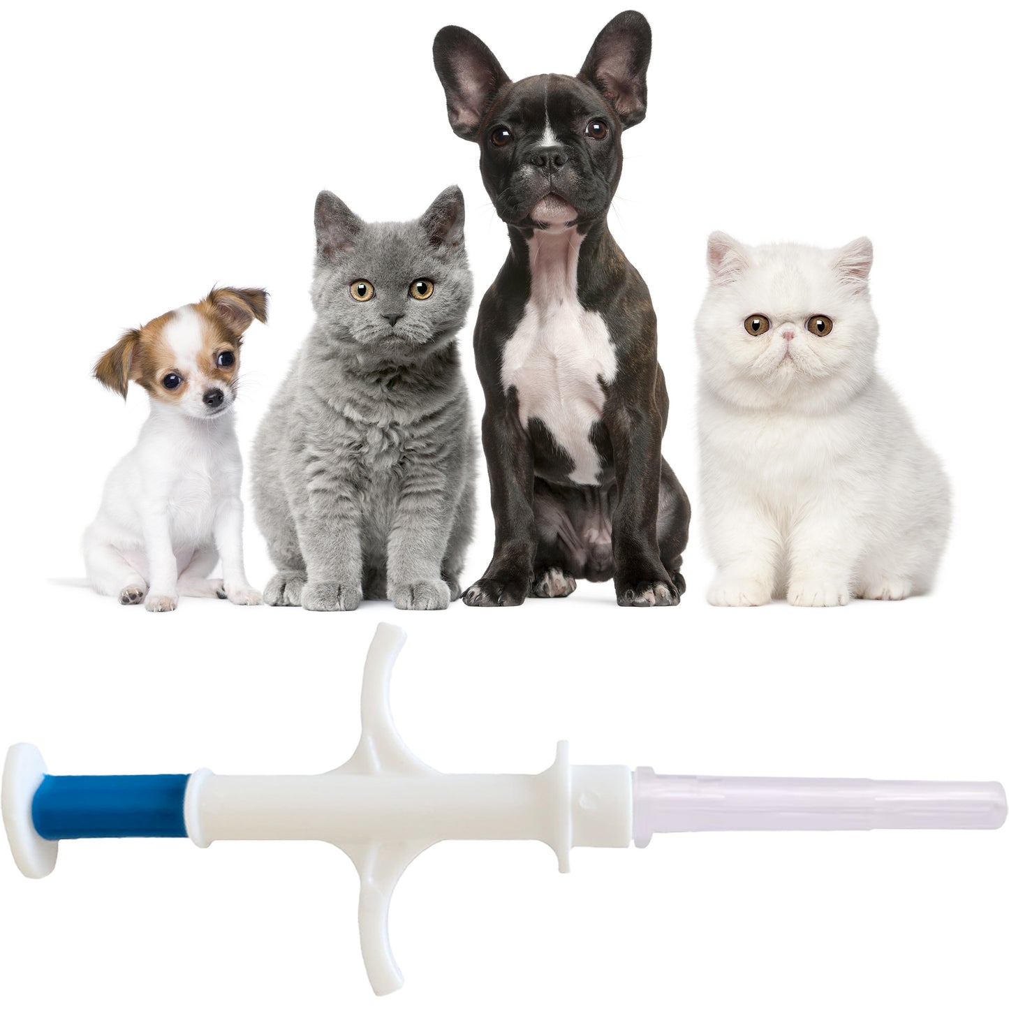 Thermal Pet Microchips, FDX-B, EM4305, Instant Pet Temperature Reading, UK Scanner Compatible, Microchips Suitable for Cats and Dogs, 1.4 x 8mm, Pack of 10 (Full Set)